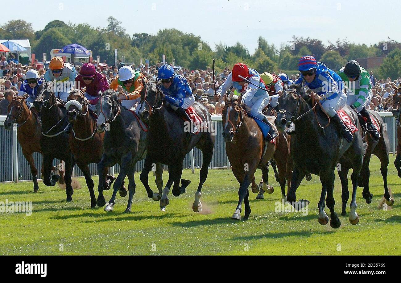 Dark Angel guidato da Michael Hills (striscia rossa con cappuccio blu, destra) vince il 300,000 St Leger Yearling Stakes all'ippodromo di York. Foto Stock