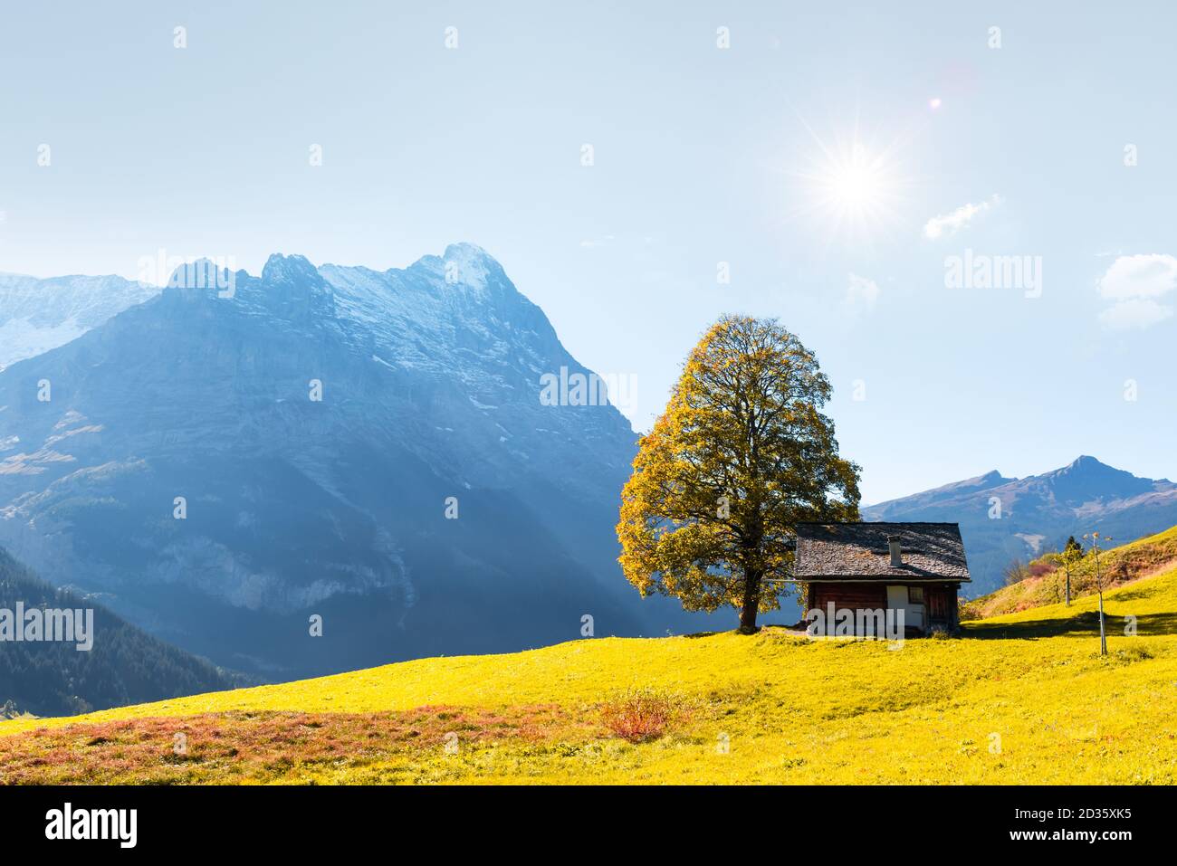 Pittoresco paesaggio autunnale con aranci e prato verde Grindelwald villaggio nelle Alpi svizzere Foto Stock