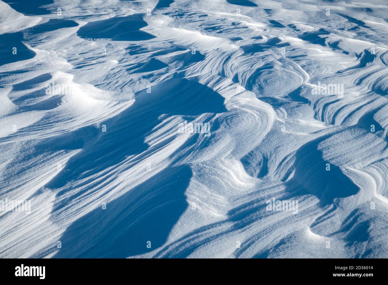 Neve sul campo in una giornata di sole. Natura inverno, vacanza e Natale sfondo Foto Stock