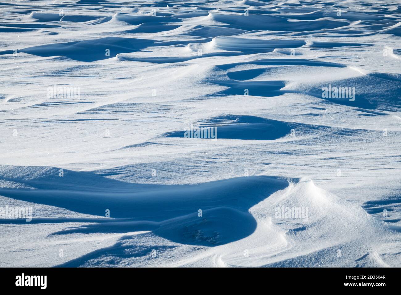 Neve sul campo in una giornata di sole. Natura inverno, vacanza e Natale sfondo Foto Stock