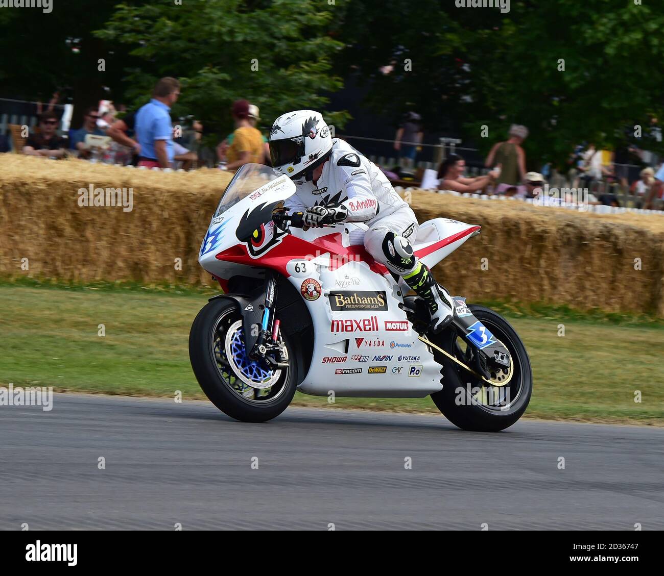 Bruce Anstey, Mugen Shinden Go, moto elettrico, motociclette da corsa moderne, motociclette da corsa classiche, Goodwood Festival of Speed, Speed Kings, M. Foto Stock