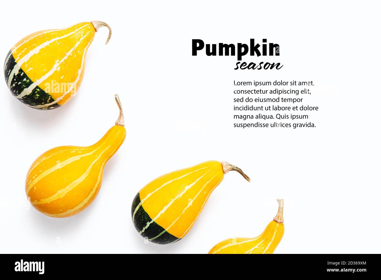 Composizione autunnale, layout con zucche arancio brillante, giallo, verde. Zucche bicolore Kleine a forma di pera. Sfondo bianco isolato. Ha di ringraziamento Foto Stock