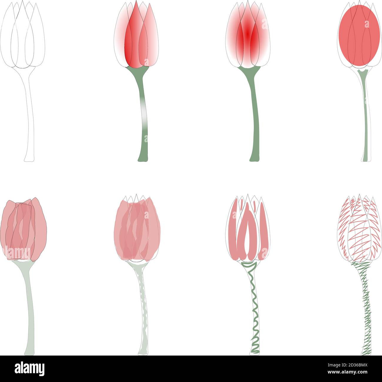 Serie vettoriale di fiori di tulipano Illustrazione Vettoriale