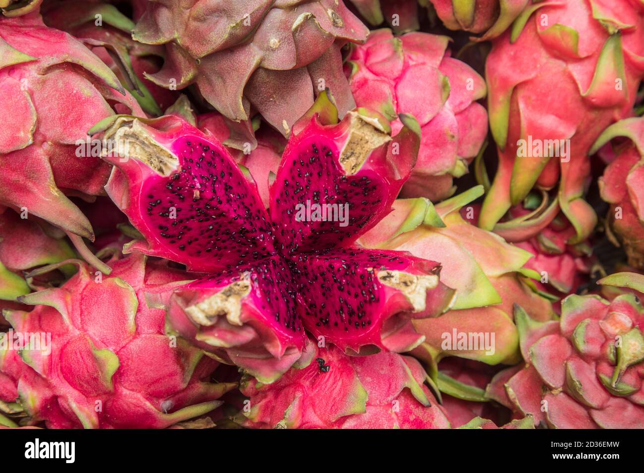 Primo piano di frutta di drago in vendita sul mercato a Dhaka, Bangladesh Foto Stock