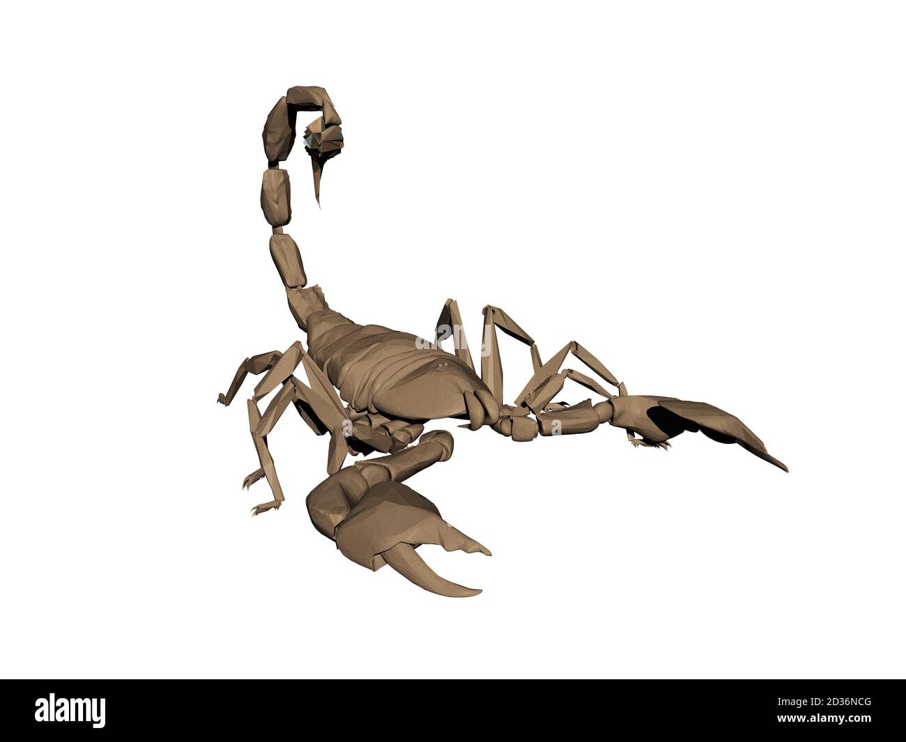 scorpione marrone con pinze e pungiglione velenoso Foto Stock