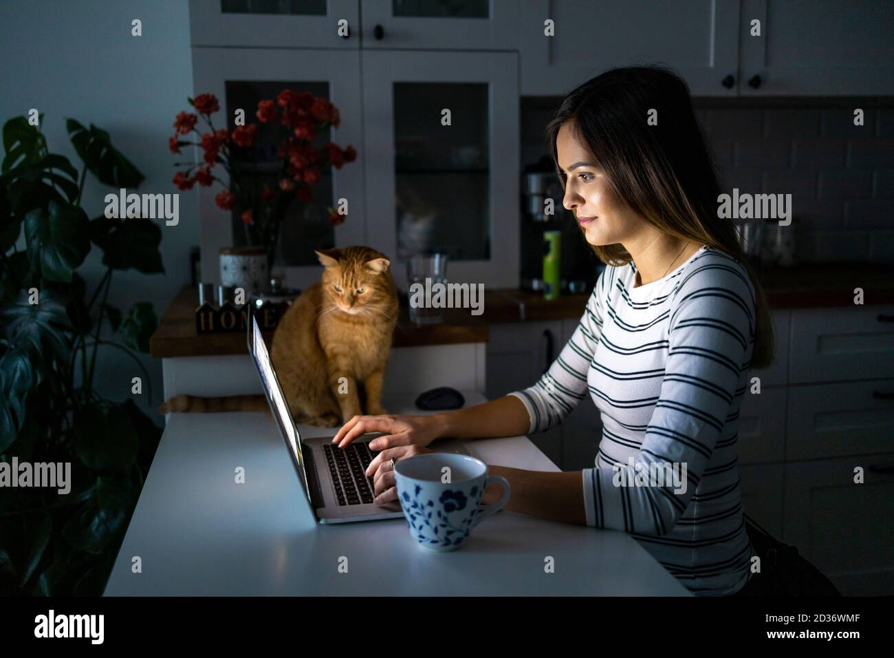 Donna concentrata che lavora a tarda ora con il suo computer portatile Foto Stock