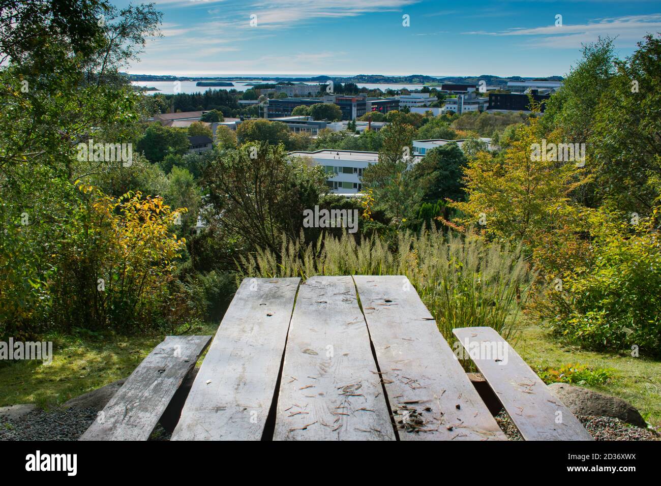 Panca in legno con vista sulla Stavanger University in Norvegia Foto Stock
