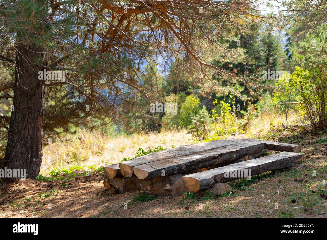 area di riposo in legno con tavolo e panchine in una foresta montana d'autunno. Foto Stock