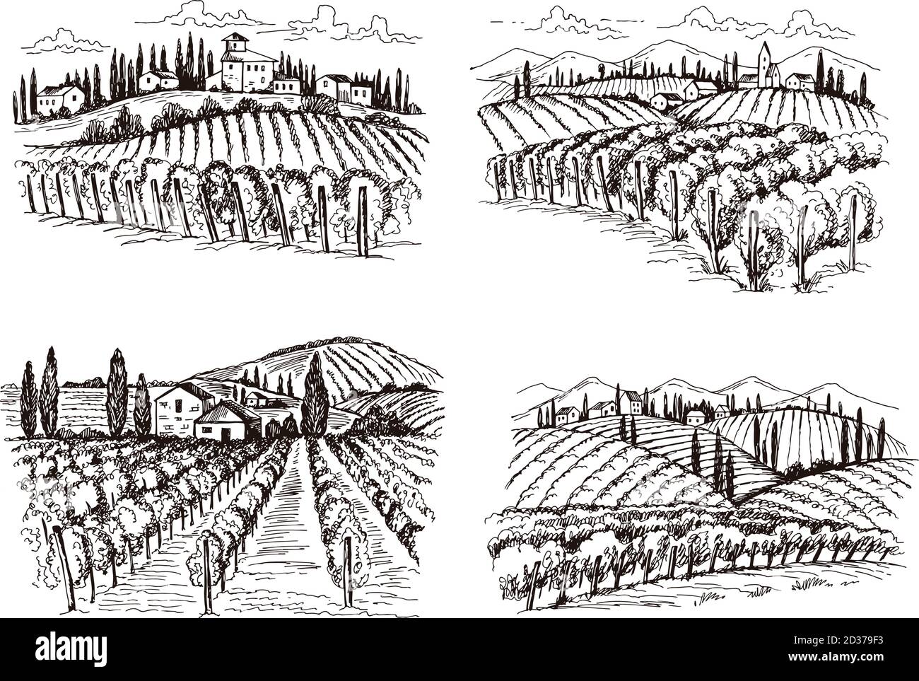 Vigneto. Old france Chateau vino paesaggio illustrazioni vettoriali disegnate a mano per progetti di progettazione etichette Illustrazione Vettoriale