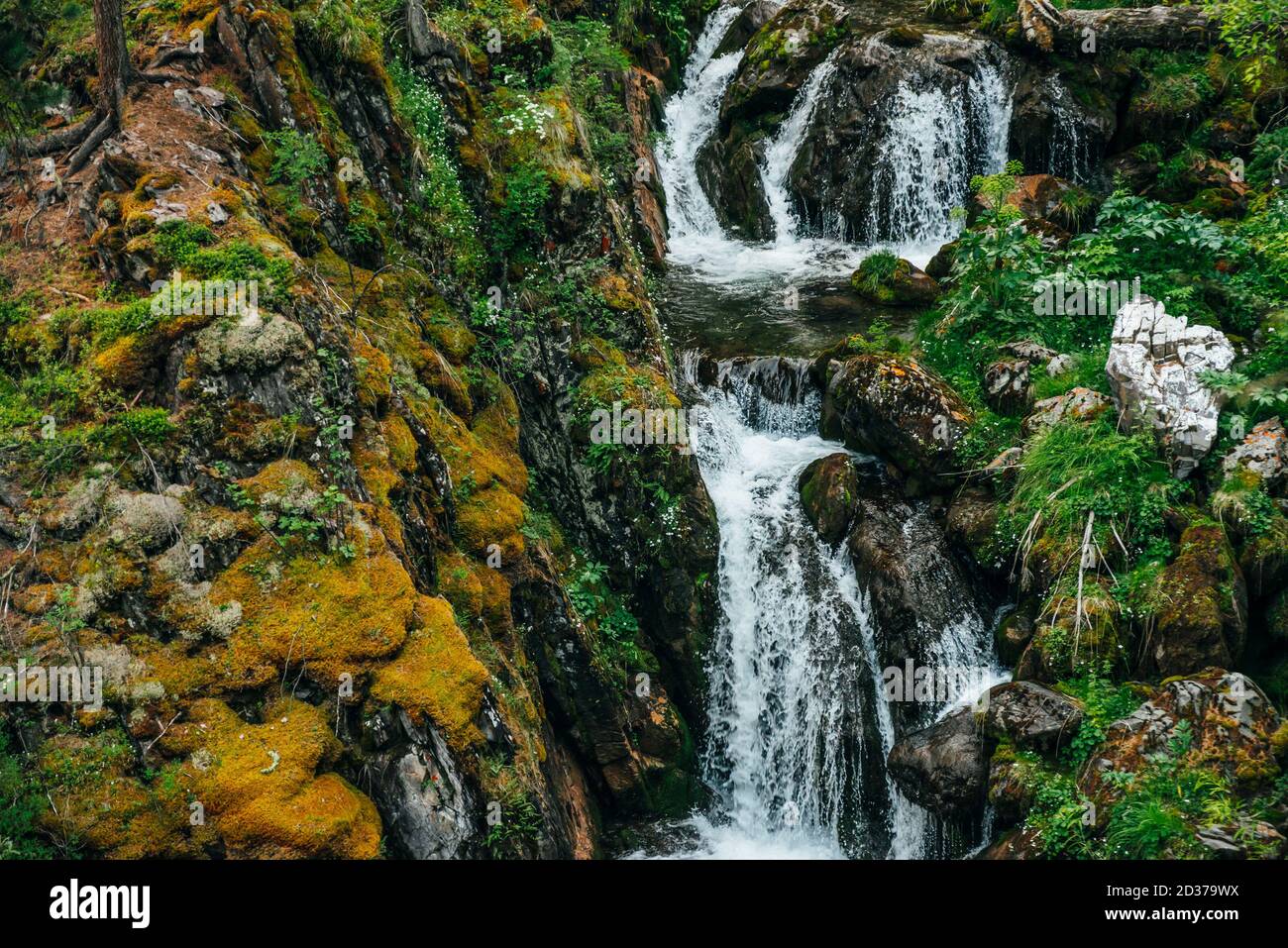 Paesaggio scenico con bella cascata in foresta tra la ricca vegetazione. L'acqua di sorgente libera scorre dal lato della montagna. Suggestivo scenario boscoso con Foto Stock
