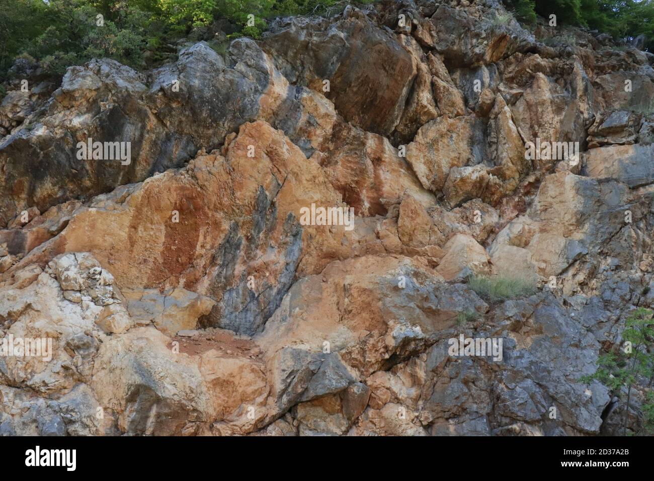 Un affioramento o un affioramento roccioso macro shot Foto Stock