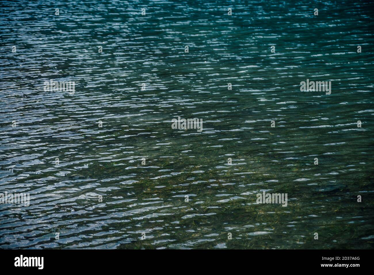Increspature meditative sulla superficie delle acque limpide del lago di montagna. Natura sfondo di vegetazione verde in acqua trasparente. Verde sul fondo della montagna Foto Stock