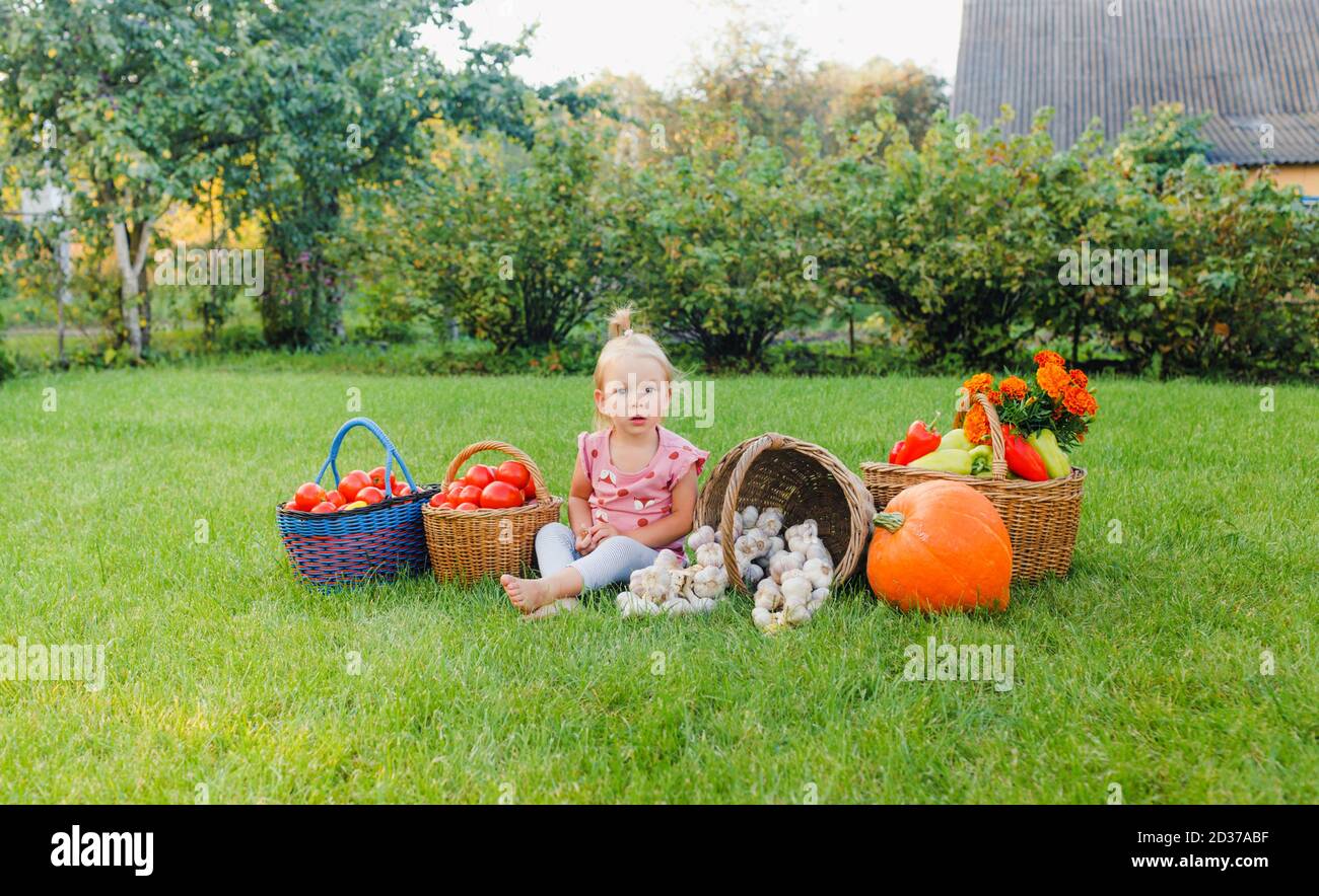 una bambina è seduta sull'erba in mezzo a. varietà di verdure Foto Stock
