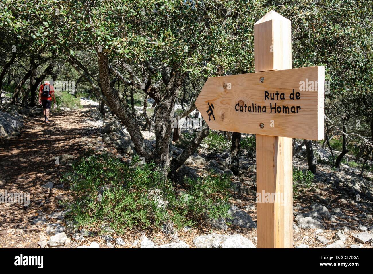ruta de Catalina Homar, ses Basses, Valldemossa ,Mallorca, Isole baleari, Spagna Foto Stock