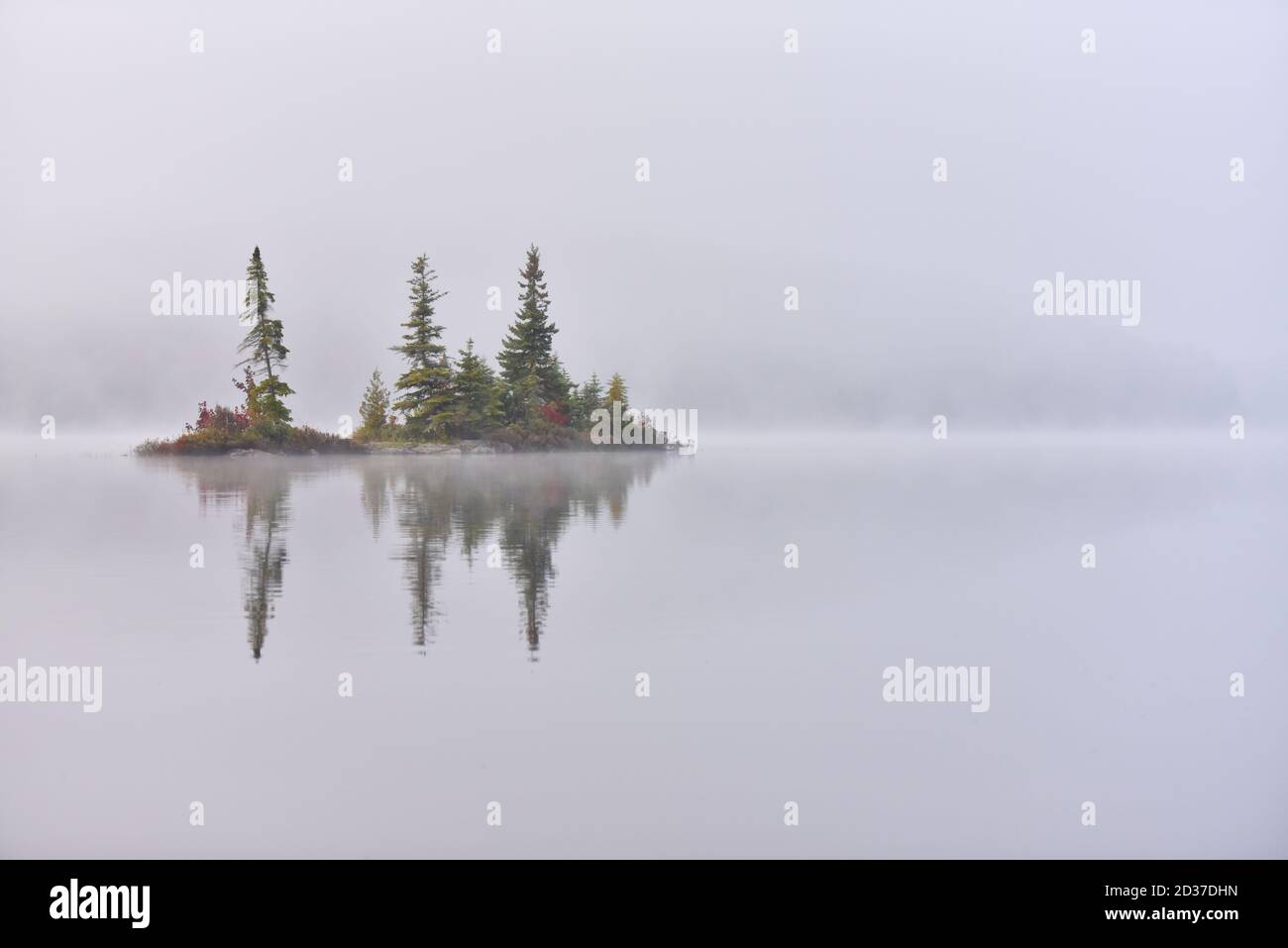 Piccola isola nella nebbia di mattina presto, sul piccolo lago nella remota Ontario settentrionale, Canada. Inizio autunno. Foto Stock