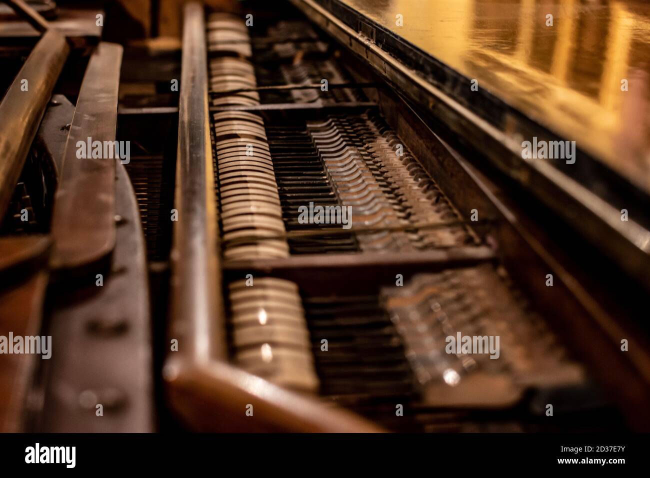 Interno sotto il coperchio del pianoforte: i perni e i moderatori Foto Stock