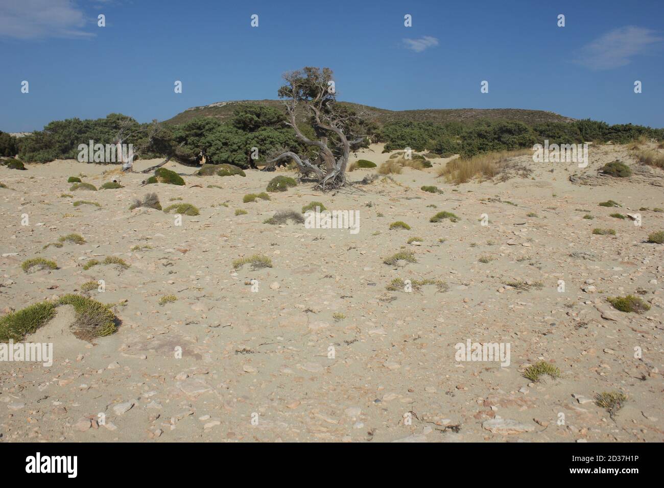 Le dune di sabbia della spiaggia di Simos nell'isola di Elafonisos, Grecia Foto Stock