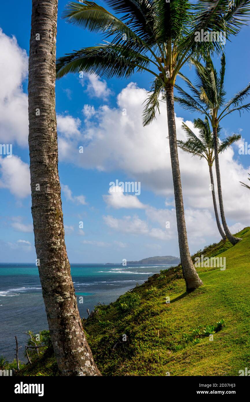 Vista della costa da Princeville sull'isola di Kauai, Hawaii, USA. Foto Stock
