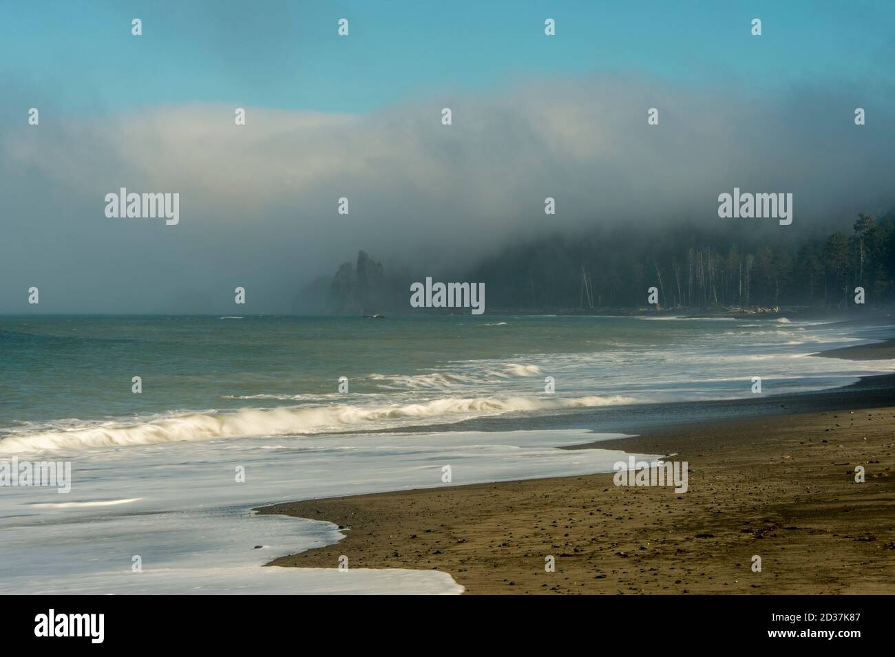 Nebbia banca sulla spiaggia di Rialto sulla costa della Penisola Olimpica nel Parco Nazionale Olimpico nello Stato di Washington, Stati Uniti. Foto Stock