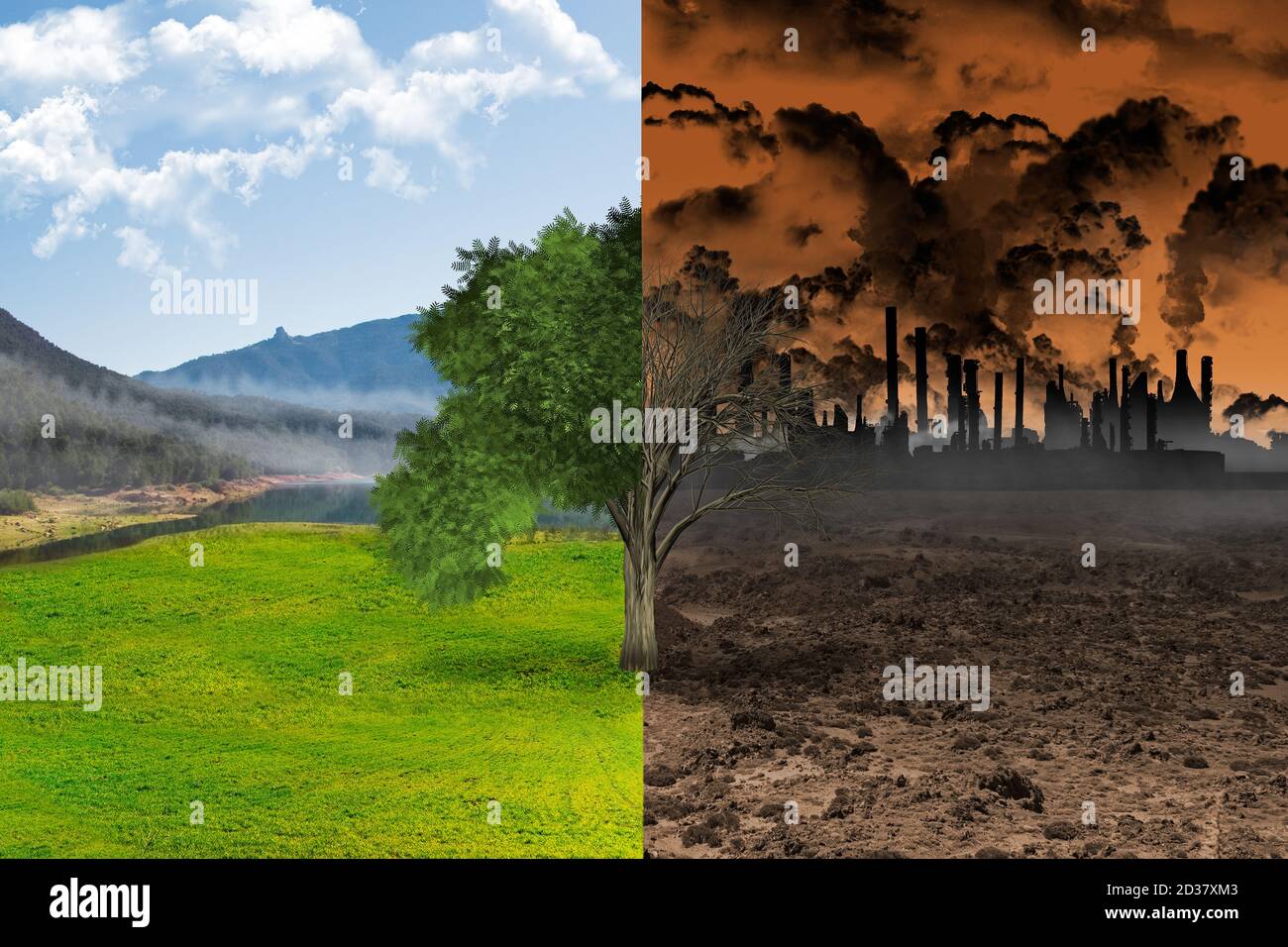 Vita e morte di un albero come concetto di riscaldamento globale. La vita contro la distruzione per inquinamento. Concetto ecologico e cura dell'ambiente Foto Stock