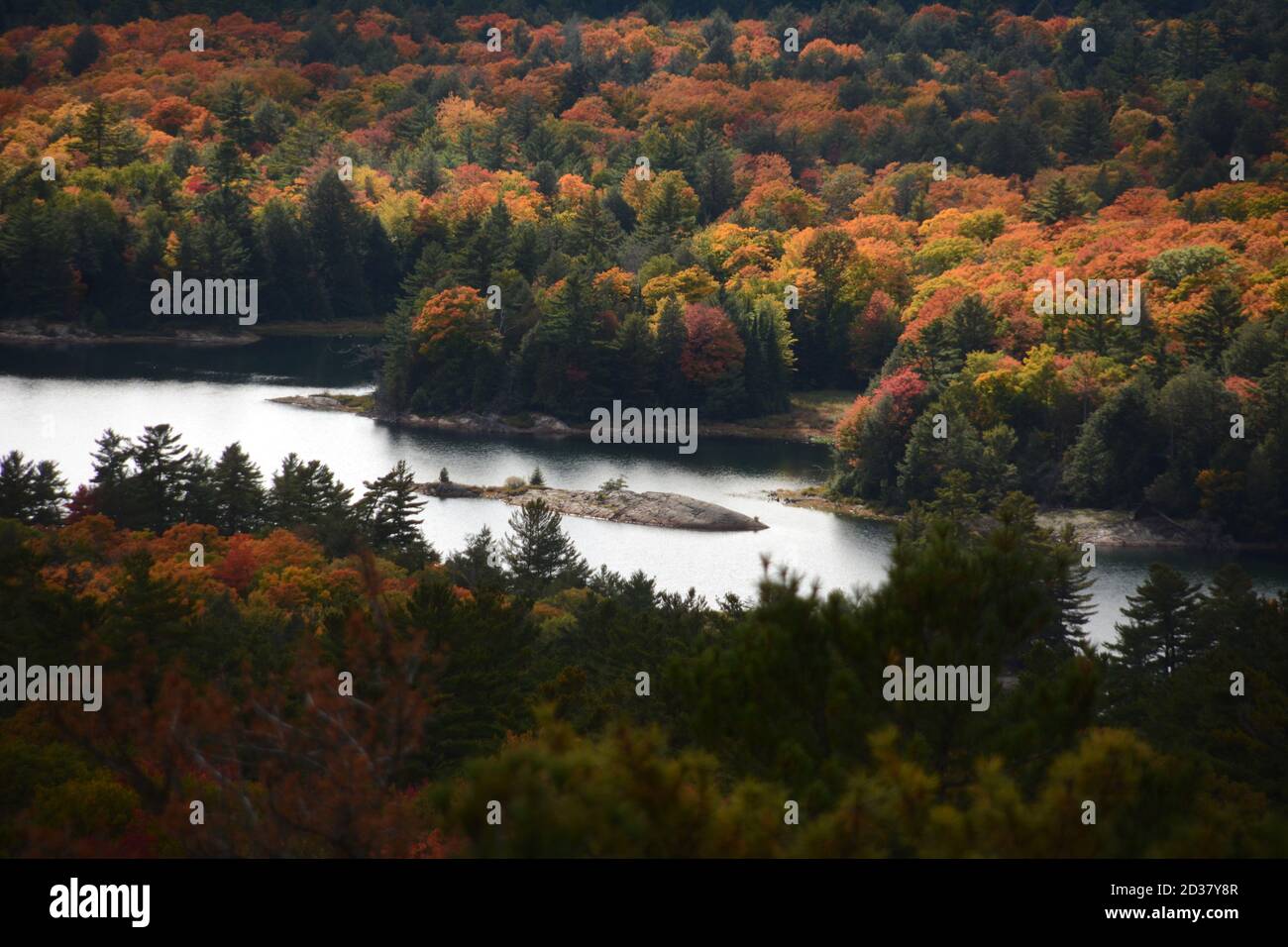 Vista dei colori autunnali degli alberi e del lago Killarney dalla cima del sentiero escursionistico Crack, Killarney Provincial Park, Ontario, Canada. Foto Stock