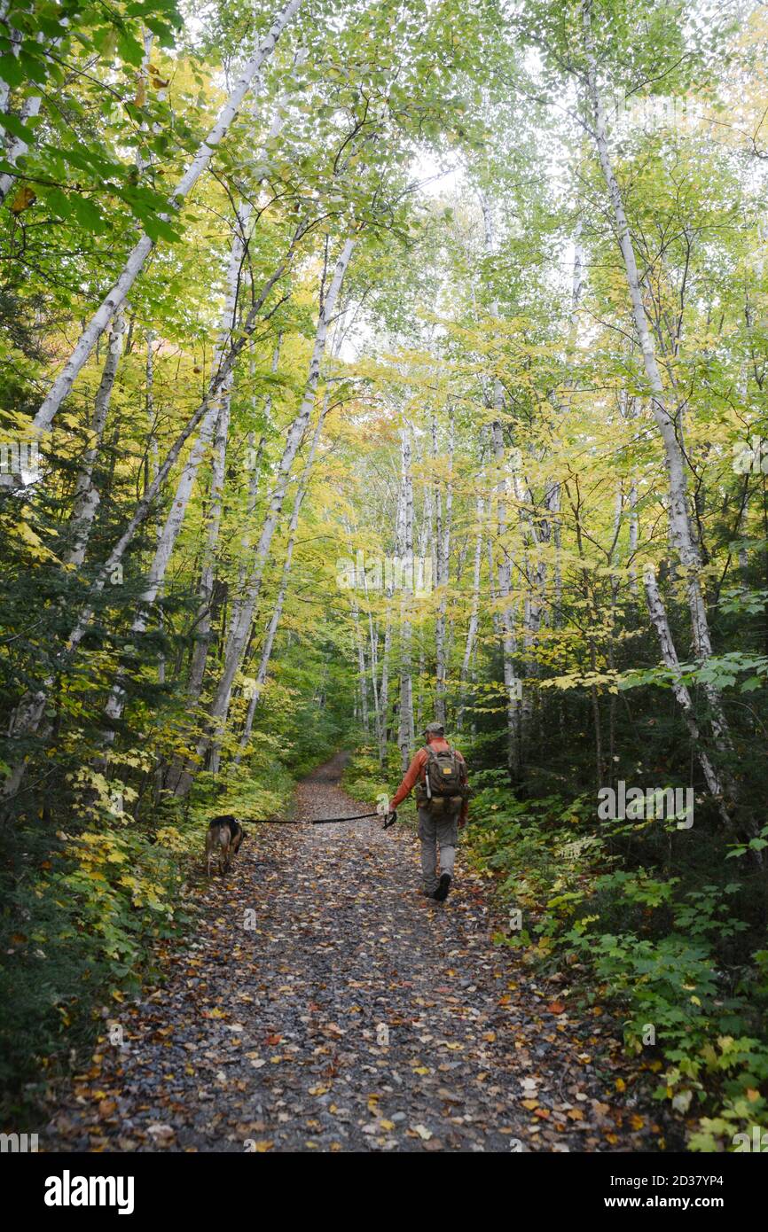 Un uomo cammina il suo cane attraverso i colori degli alberi autunnali sul sentiero Crack nel Killarney Provincial Park, Ontario, Canada. Foto Stock