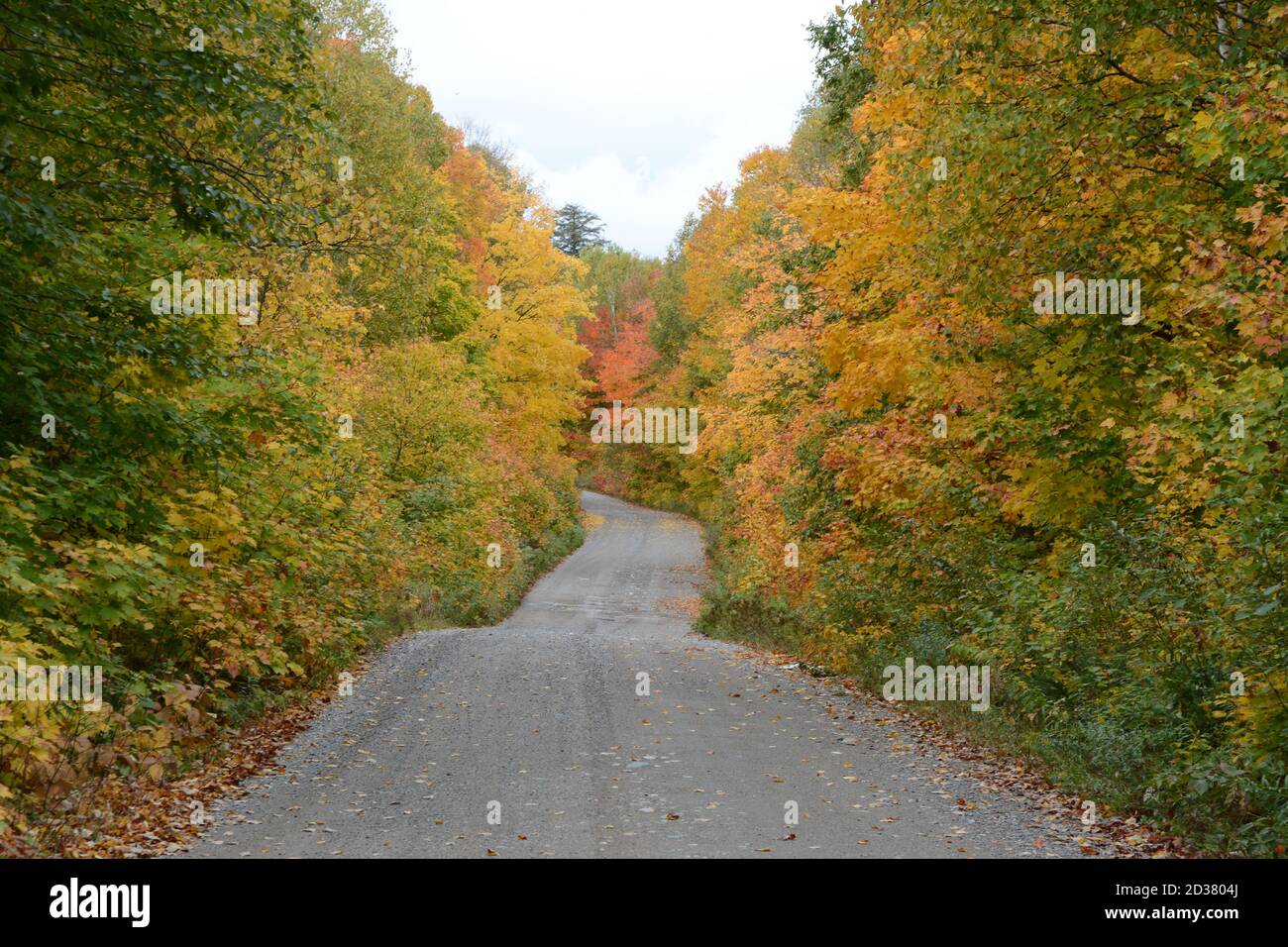 Una strada secondaria che attraversa i colori degli alberi autunnali nel Killarney Provincial Park, Ontario, Canada. Foto Stock