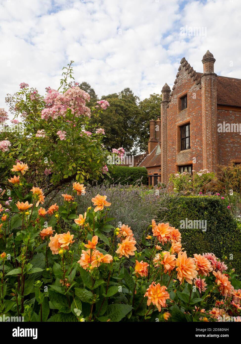 Chenies Manor giardini nel mese di settembre. Chenies Manor incorniciato da rosa pastello Rose Ballerina e color pesca dorata Dahlia 'MR Frans' in bel tempo. Foto Stock