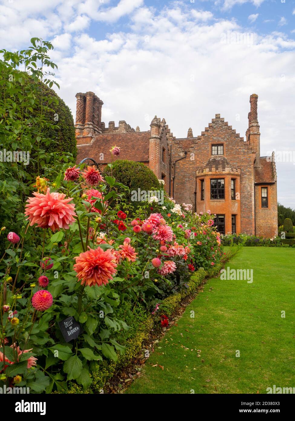 Splendidi giardini Chenies Manor a settembre circondati da fiori di dahlias rosa salmone, 'Belle of Barmera', alberi di tasso tagliati e Rosa 'Ballerina'. Foto Stock