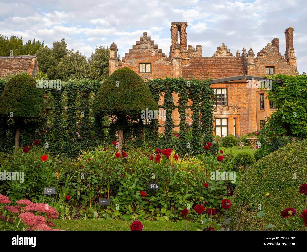 Chenies Manor House al sole con alti camini Tudor; il giardino sommerso, topiario, trellis rivestito di edera, Dahlia 'Karma Irene', 'Weston Pirate', 'Karma Choc'. Foto Stock