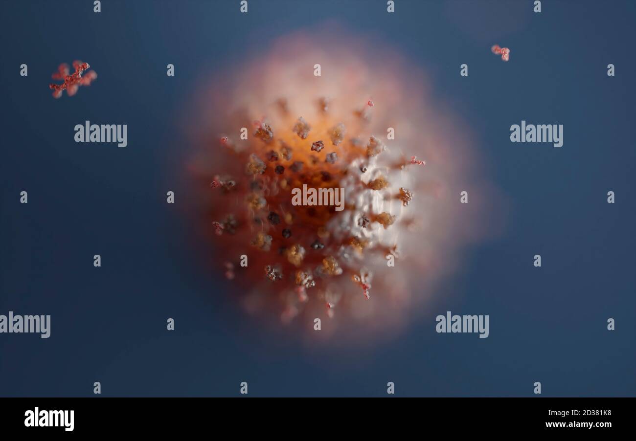 Anticorpi umani (IgG e IgM) che attaccano un virus Corona (SARS-COV-2, Covid 19). Un modello accurato basato sui dati strutturali scientifici del PDB. Foto Stock