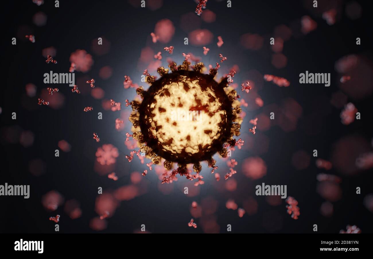 Gruppo di anticorpi umani (IgG e IgM) che attaccano un virus Corona (Covid 19). Un modello accurato basato sui dati strutturali scientifici del PDB. Foto Stock