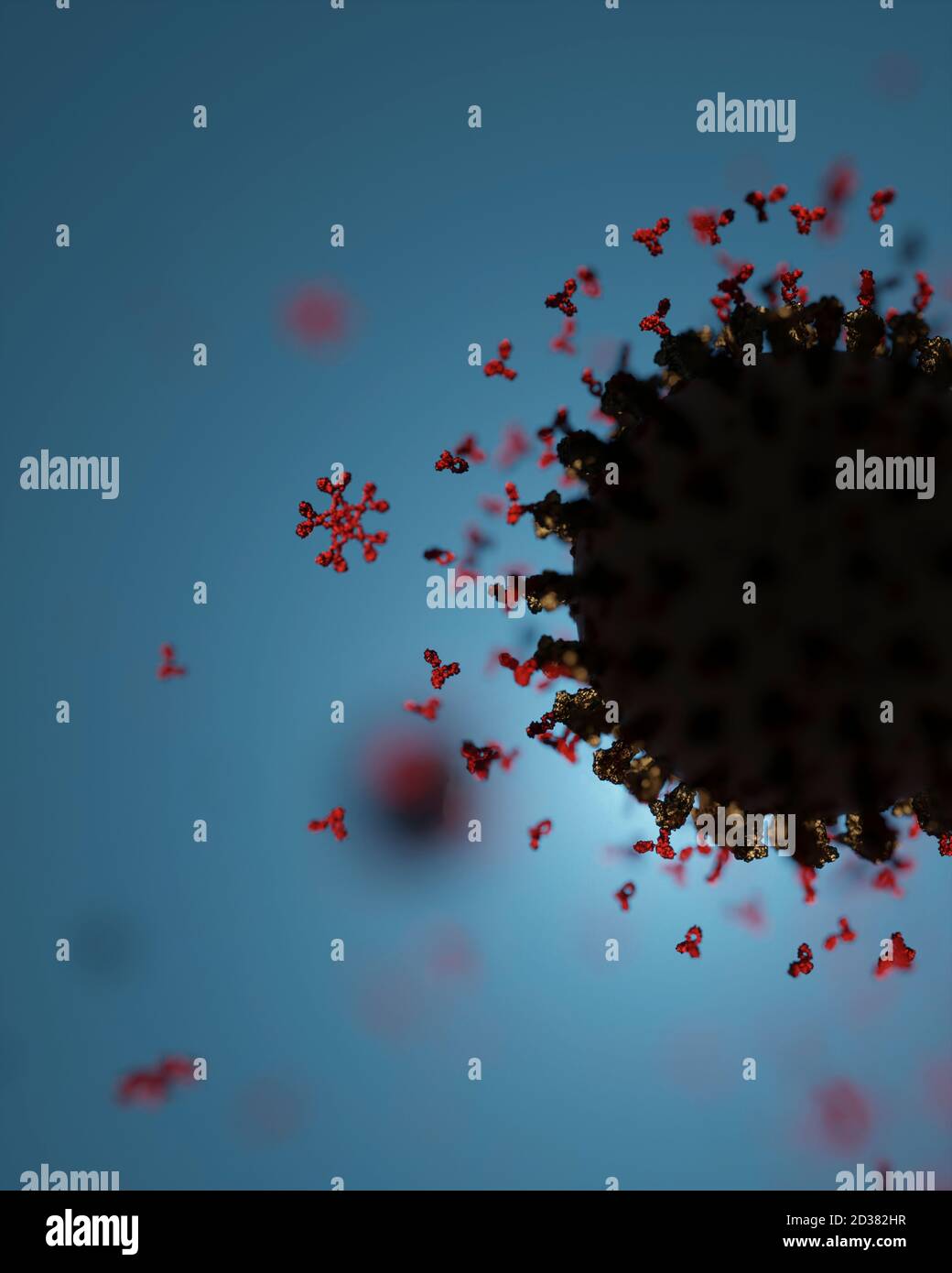 Anticorpi umani (IgG e IgM) che attaccano un virus Corona (SARS-COV-2, Covid 19). Un modello accurato basato sui dati strutturali scientifici del PDB. Foto Stock