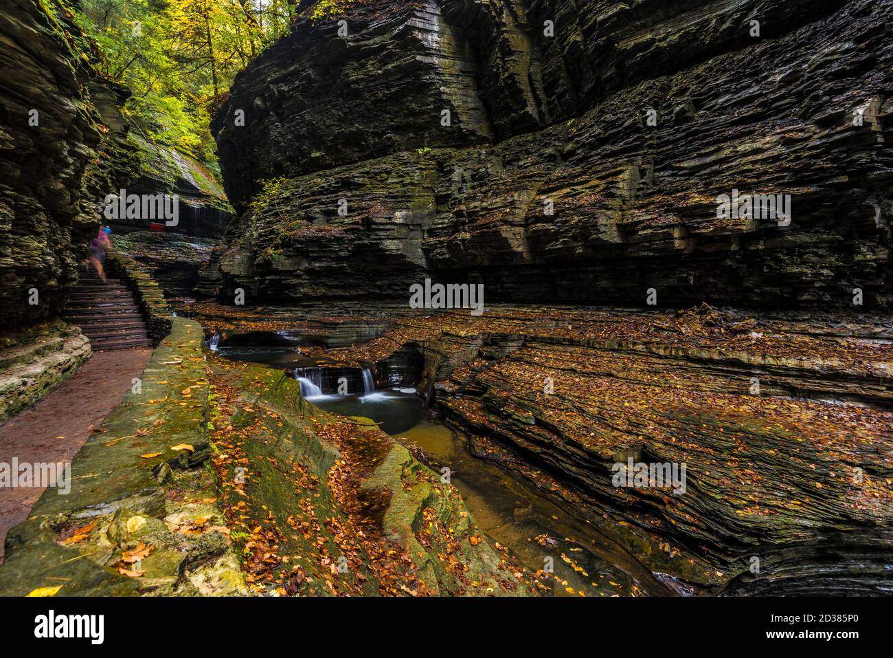 Il Watkins Glen state Park si trova fuori dal villaggio di Watkins Glen, a sud del lago Seneca nella contea di Schuyler, nella regione dei Finger Lakes di New York. Foto Stock