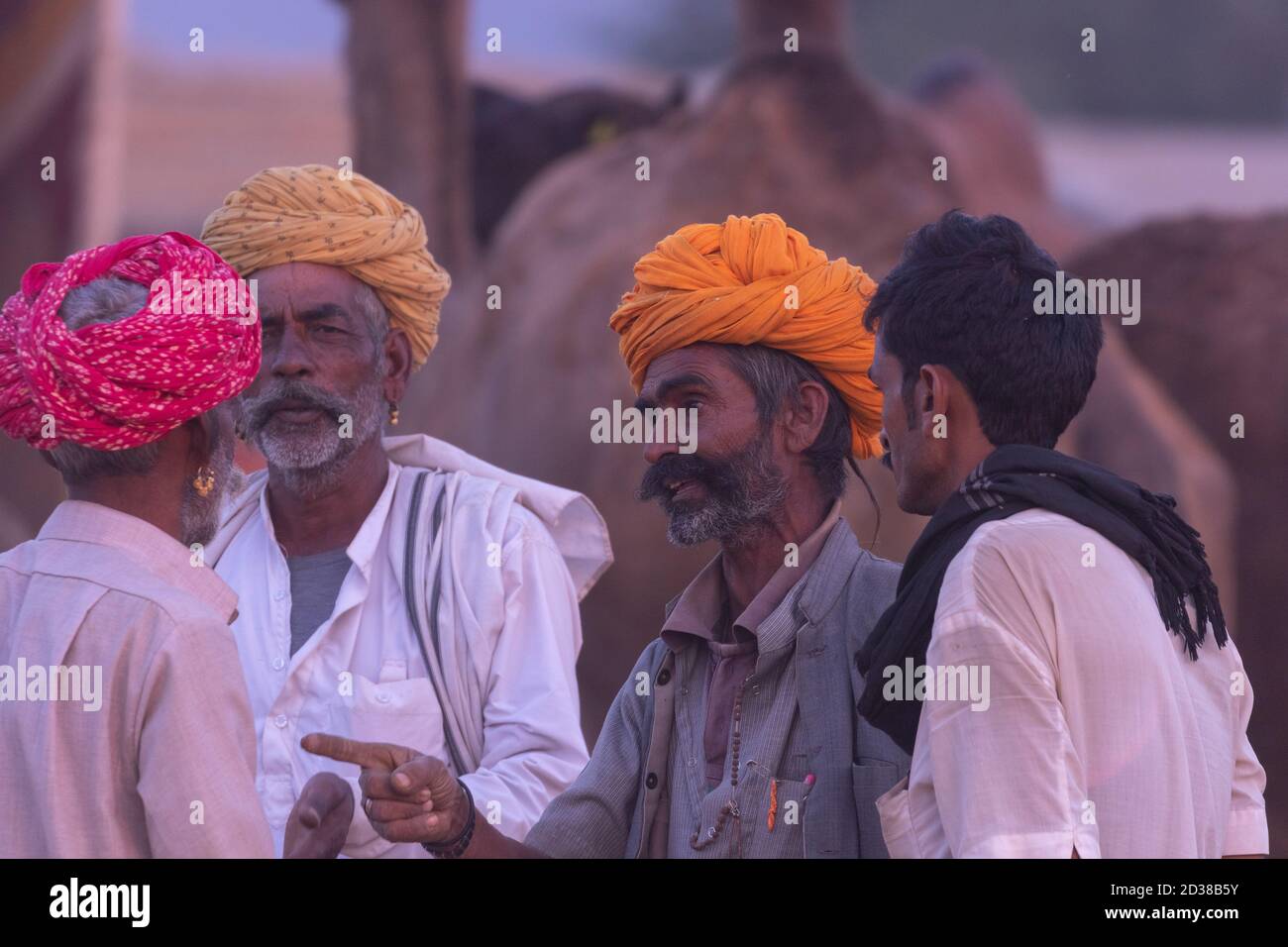 Un gruppo di uomini che indossano turbanti in piedi e scambiano cammelli a Pushkar, Rajasthan, India il 18 novembre 2018 Foto Stock