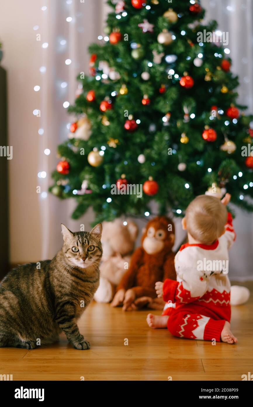 Il gatto è seduto di fronte a un albero di Natale mentre Il bambino sta raggiungendo per un ornamento di Natale Foto Stock