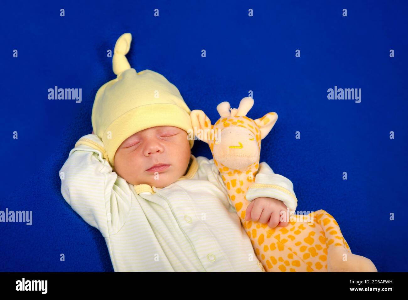 Neonato adagiato su una coperta blu con giraffa giocattolo. Ragazzo o ragazza Foto Stock