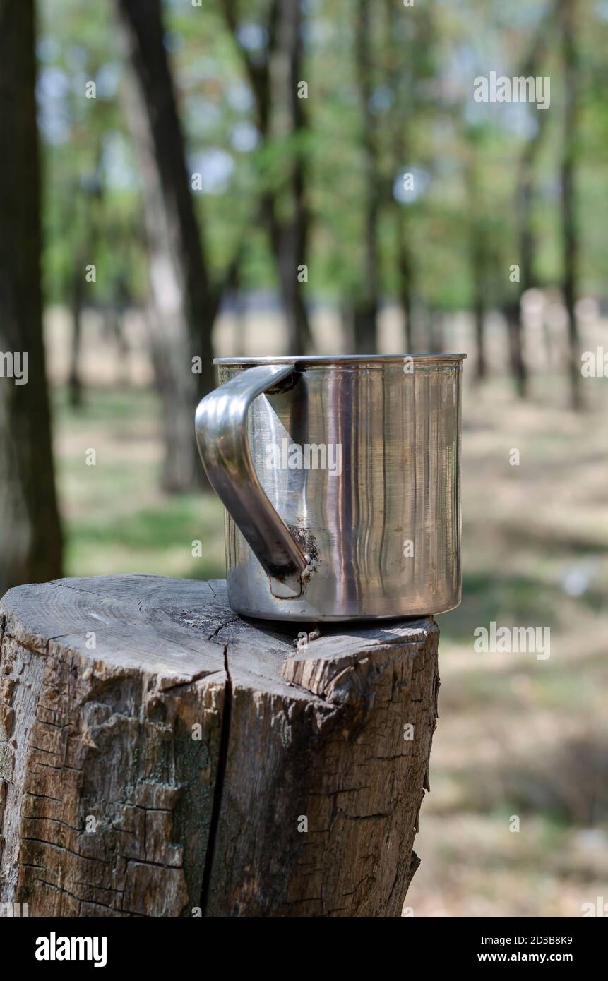 Tazza di metallo su un ceppo di albero nella foresta. Una tazza di acciaio inossidabile sulla parte superiore di un moncone asciutto di acacia. Escursioni, stile di vita attivo. Senza nessuno. Foto Stock