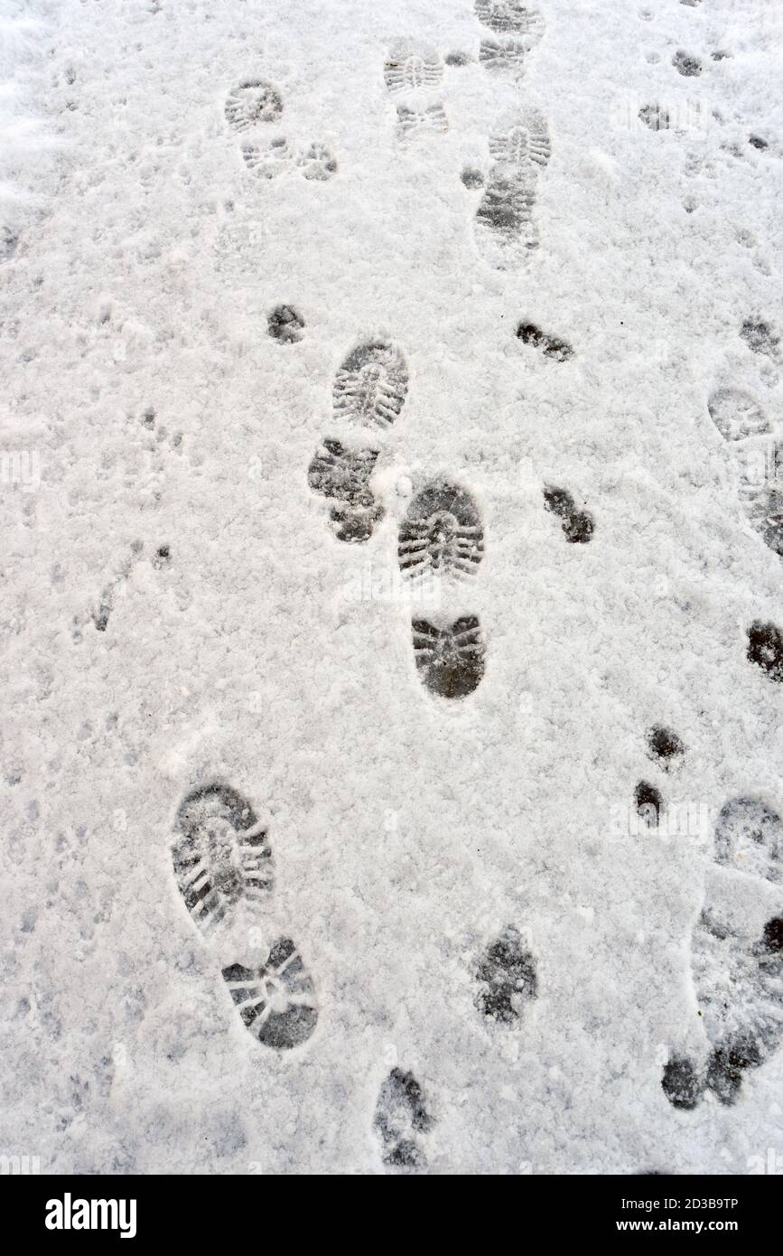 Orme nella neve Foto Stock