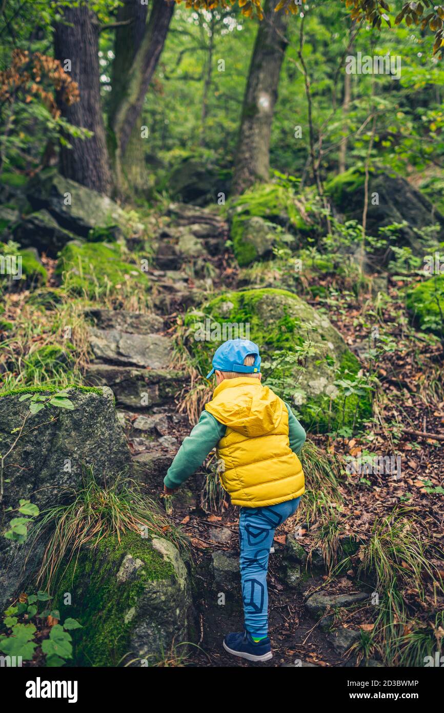 Escursioni in montagna per bambini piccoli, avventura in famiglia, vista dall'alto. Piccolo bambino che cammina in una foresta verde rocciosa. Foto Stock