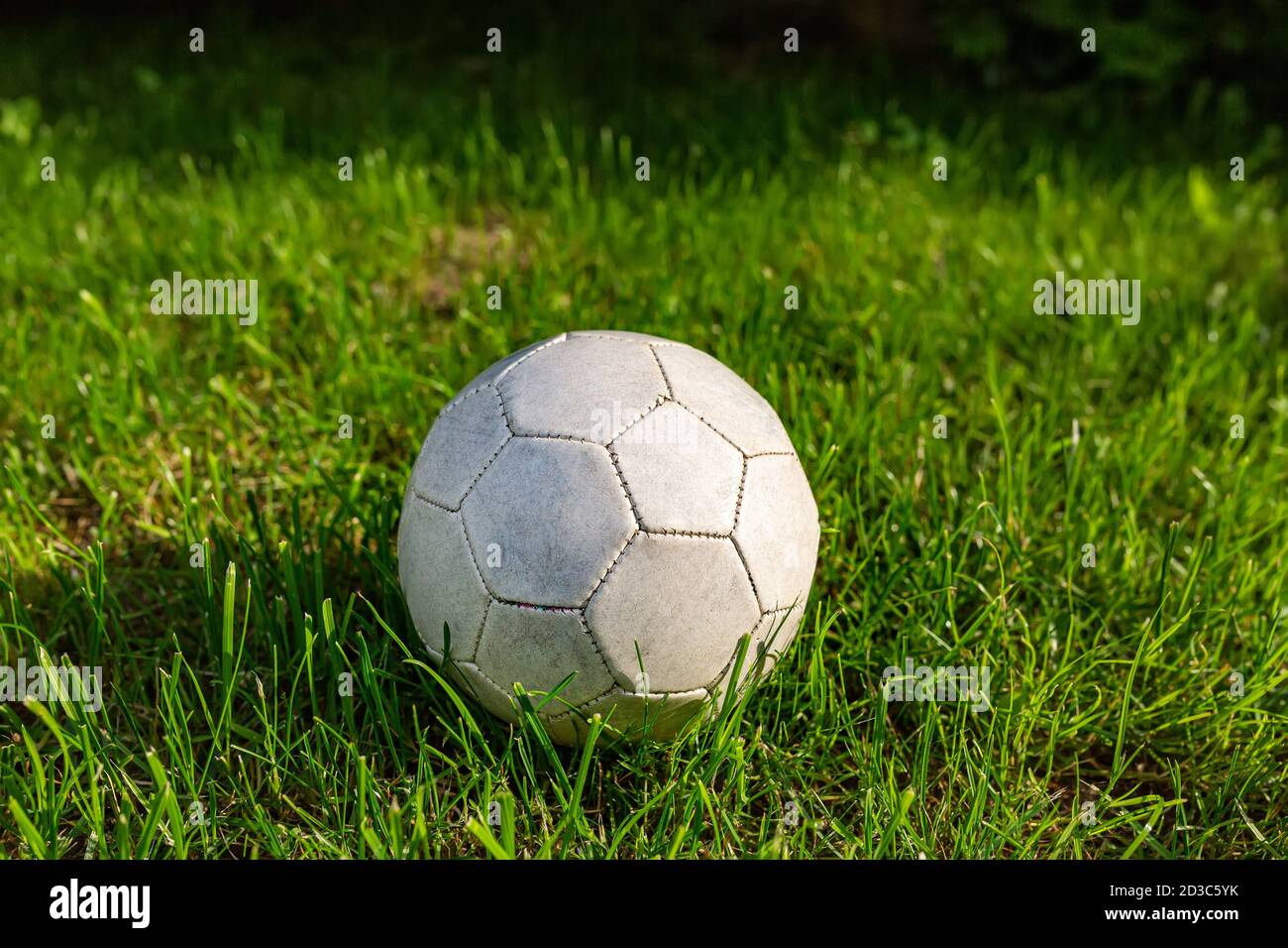 Calcio, sport. Un bel prato verde con una palla di calcio su di esso Foto Stock