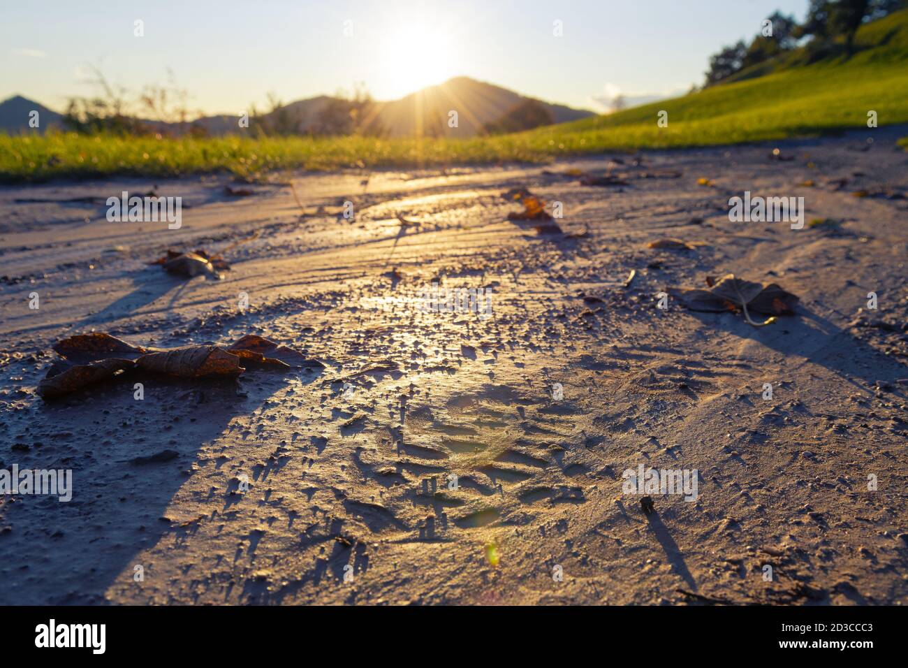 Primo piano di scarpe da trekking footprint in fango su sentiero di campagna con tramonto sullo sfondo. Attrezzatura da trekking, attività all'aperto e concetti di stile di vita Foto Stock
