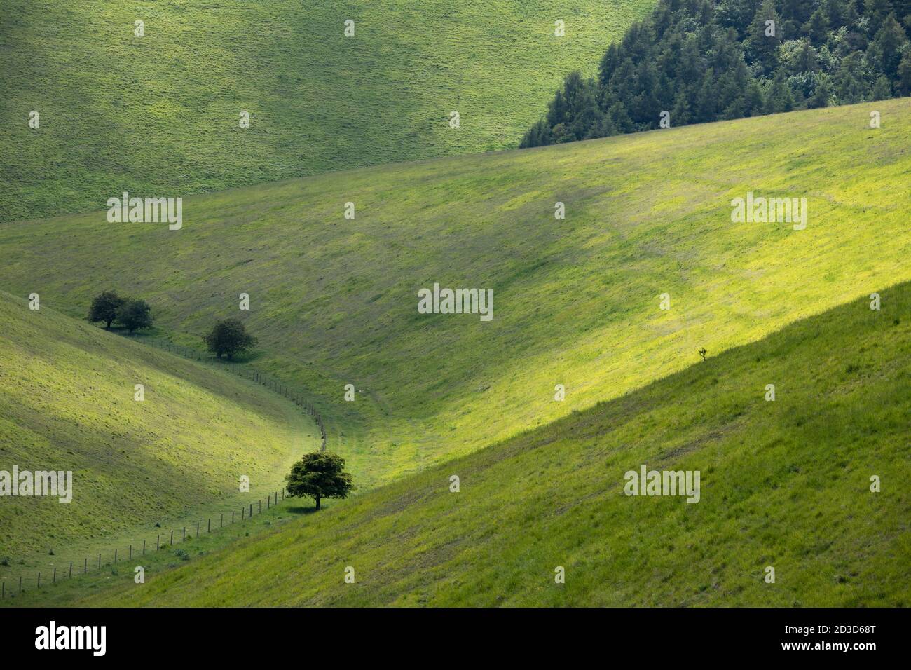 Luce crepata sul lato valle di Frendal Dale, sopra Millington, vicino Huggate, East Riding of Yorkshire, Yorkshire Wolds in estate (giugno 2020) Foto Stock