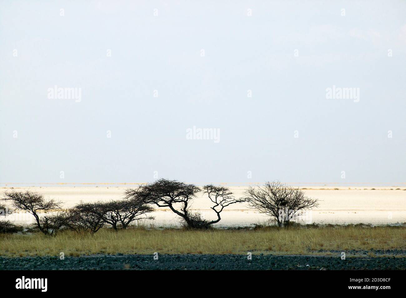 Vista sulle saline di Makadikadi in Botswana. Foto Stock
