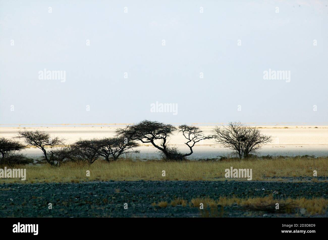 Vista sulle saline di Makadikadi in Botswana. Foto Stock