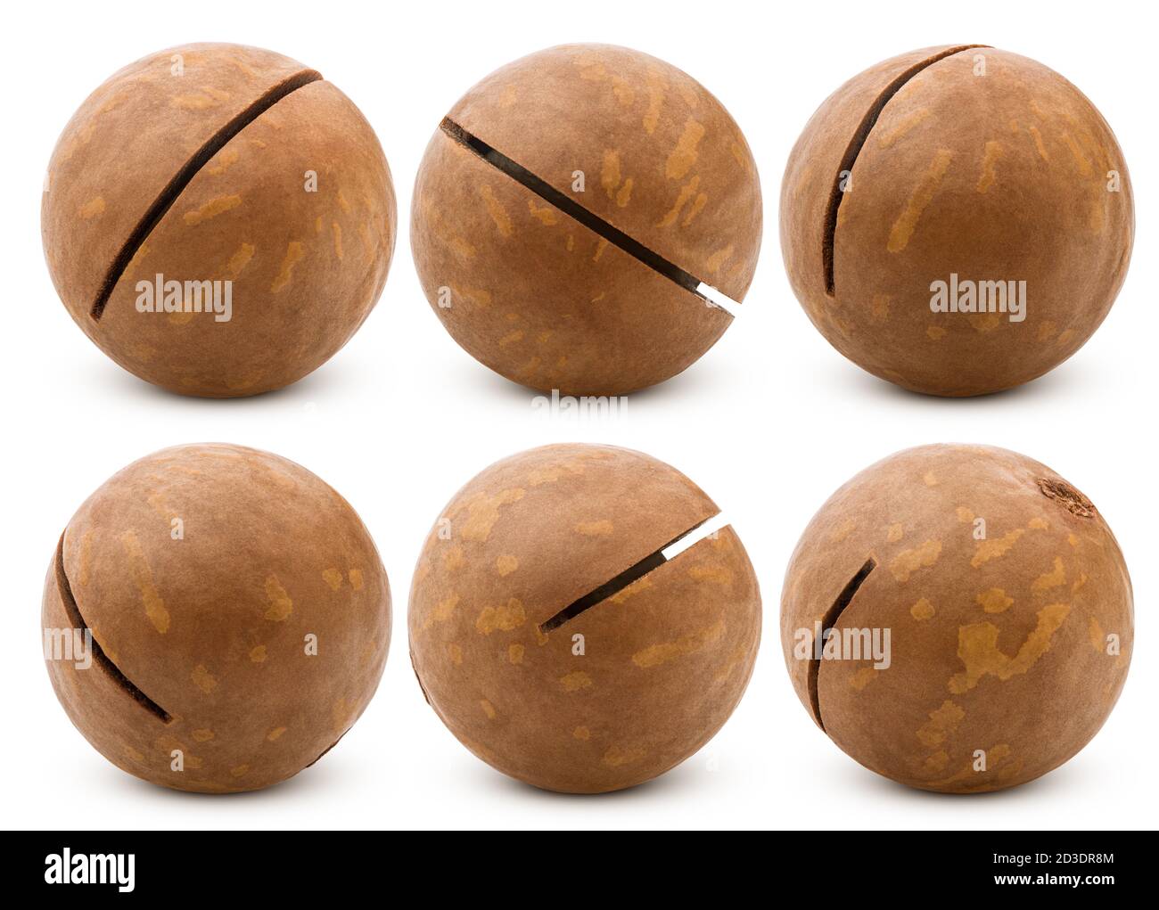 macadamia, noce, isolato su sfondo bianco, tracciato di ritaglio, profondità di campo completa Foto Stock