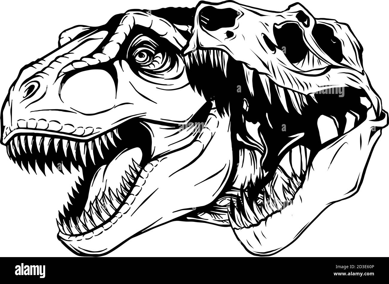 Tyrannosaurus rex disegno di illustrazione di vettore fossile del cranio Illustrazione Vettoriale