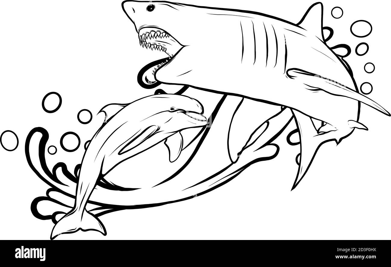 Grande squalo bianco strappa con vettore bocca aperta Illustrazione Vettoriale