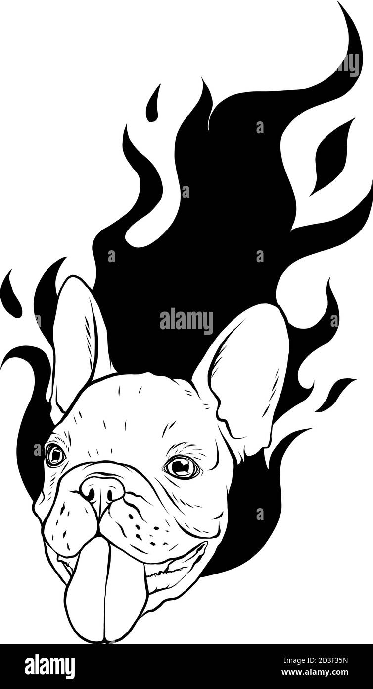 Testa PUG carlino cane faccia - illustrazione vettoriale Illustrazione Vettoriale
