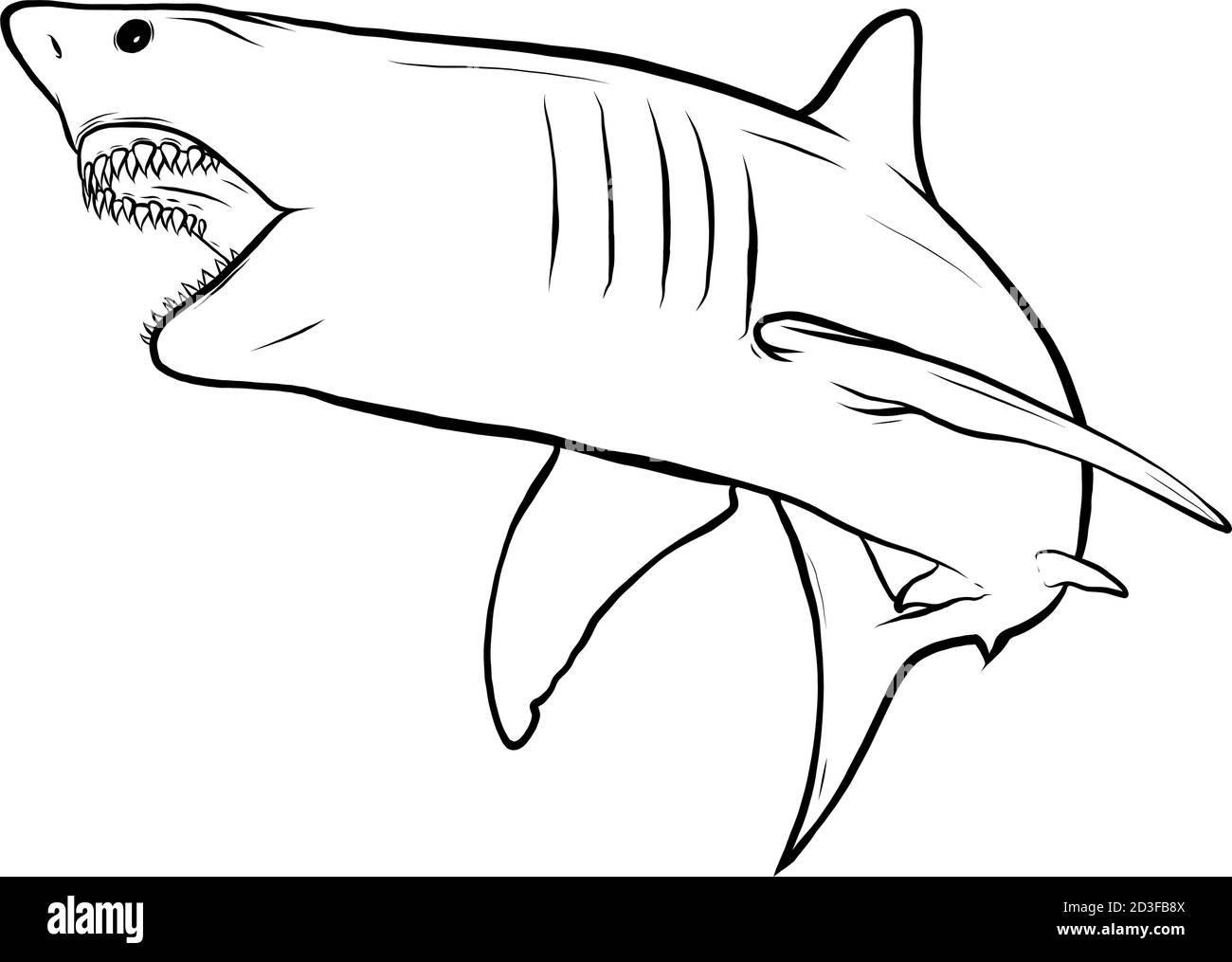 shark bianco arrabbiato vettore illustrazione grafica arte Illustrazione Vettoriale